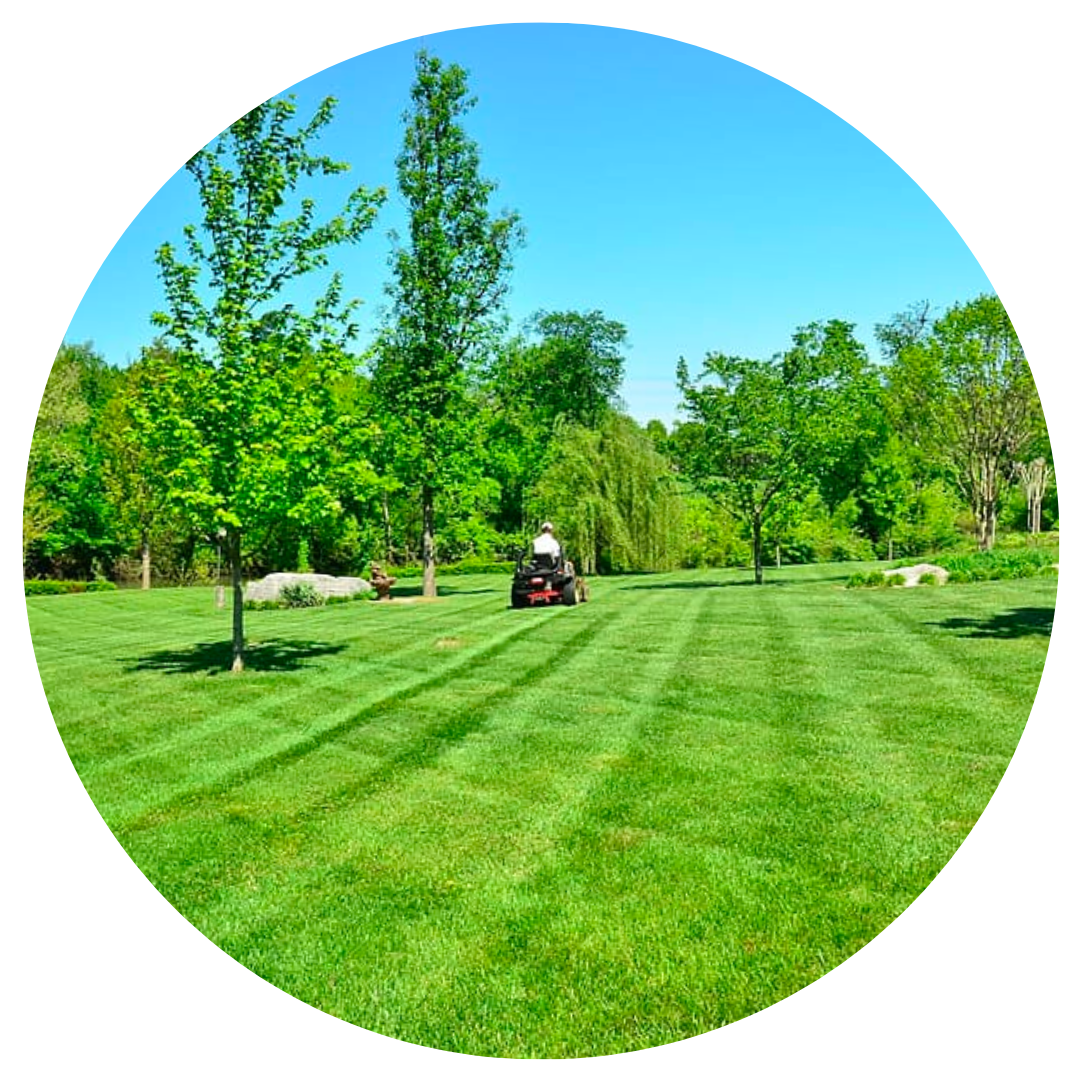 commercial-services-jason-lawn-mowing-services